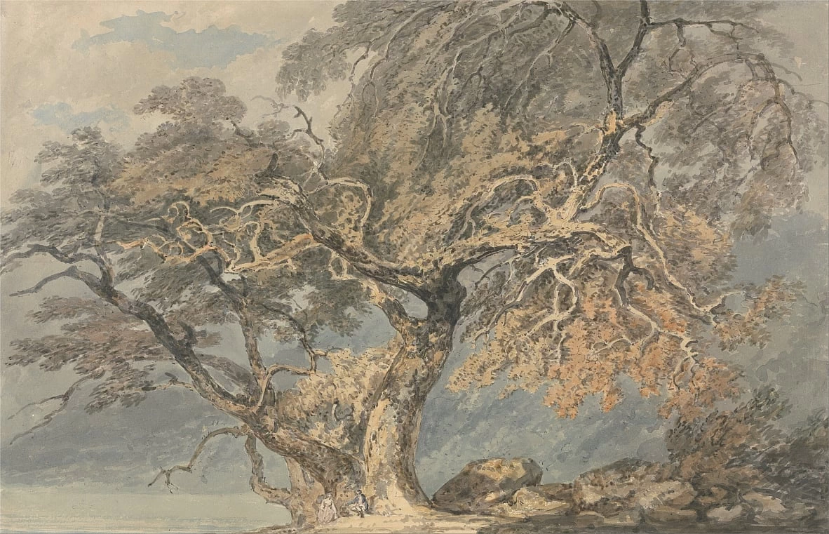 Un grande albero , 1796